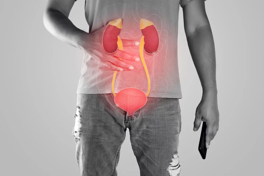 Kidney treatment in Flagstaff, Arizona